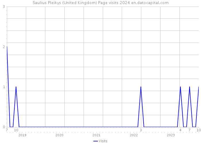 Saulius Pleikys (United Kingdom) Page visits 2024 