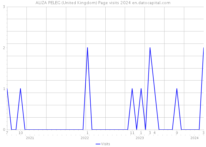 ALIZA PELEG (United Kingdom) Page visits 2024 
