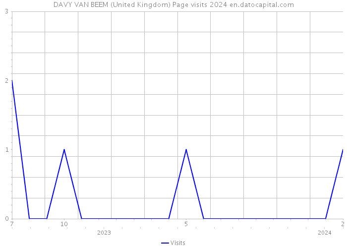 DAVY VAN BEEM (United Kingdom) Page visits 2024 