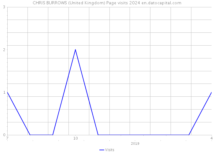 CHRIS BURROWS (United Kingdom) Page visits 2024 