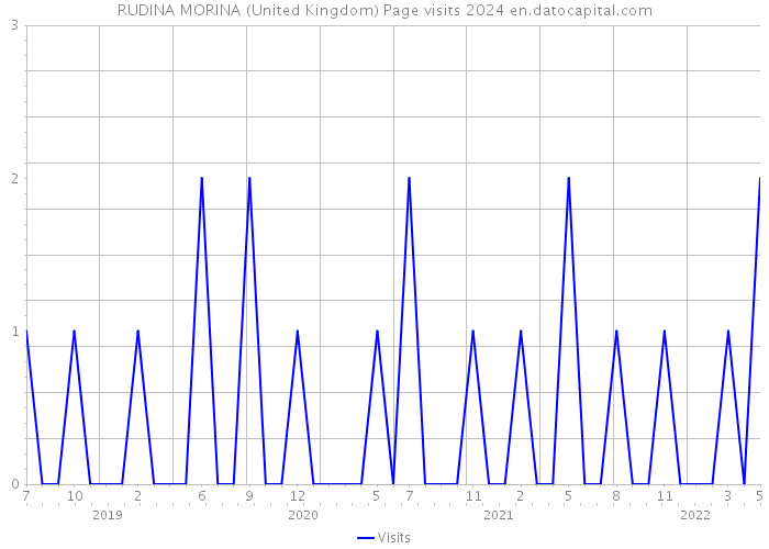 RUDINA MORINA (United Kingdom) Page visits 2024 