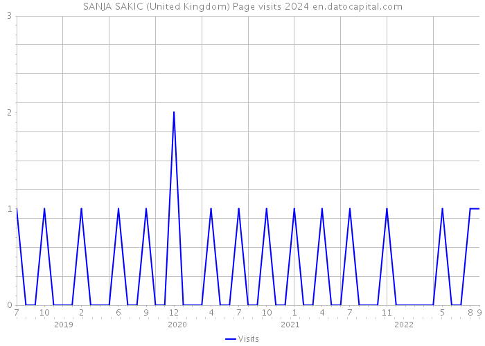SANJA SAKIC (United Kingdom) Page visits 2024 