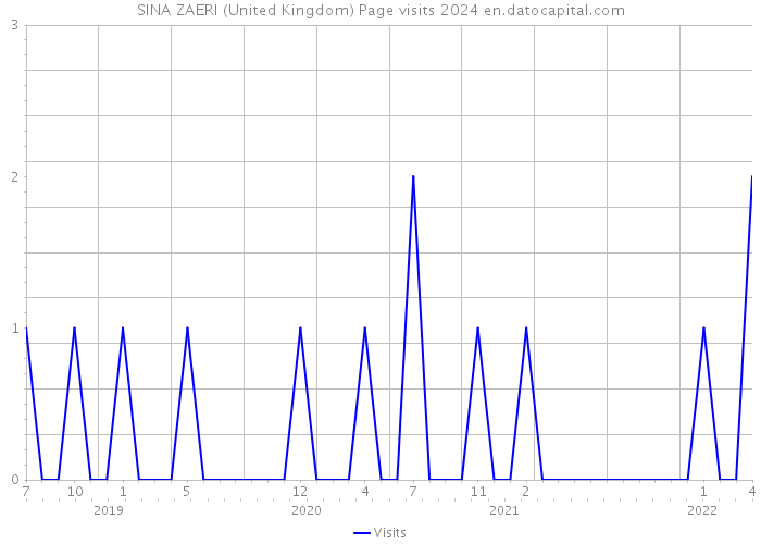SINA ZAERI (United Kingdom) Page visits 2024 