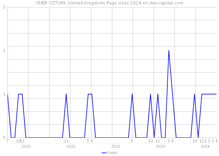ONER OZTURK (United Kingdom) Page visits 2024 