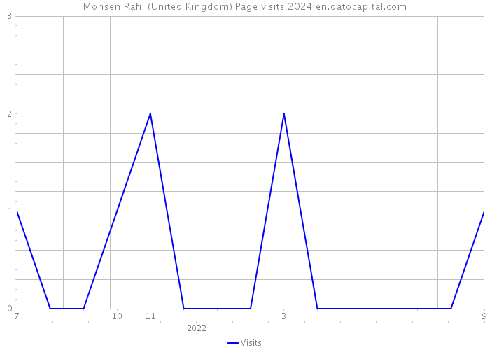 Mohsen Rafii (United Kingdom) Page visits 2024 