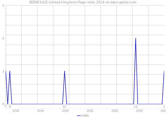EDDIE KILZI (United Kingdom) Page visits 2024 