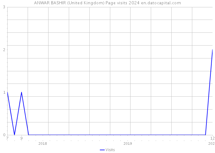 ANWAR BASHIR (United Kingdom) Page visits 2024 