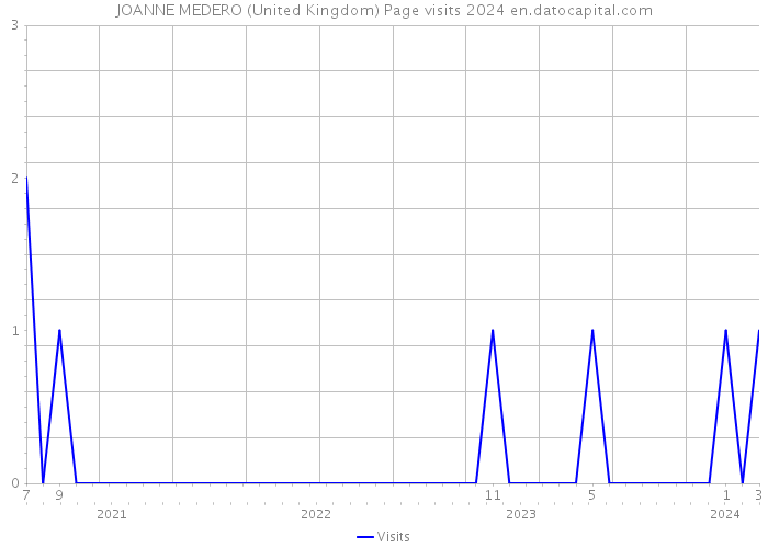 JOANNE MEDERO (United Kingdom) Page visits 2024 