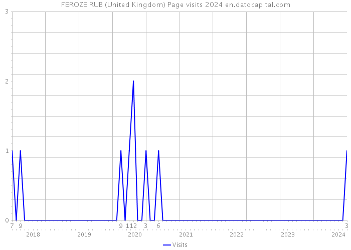 FEROZE RUB (United Kingdom) Page visits 2024 