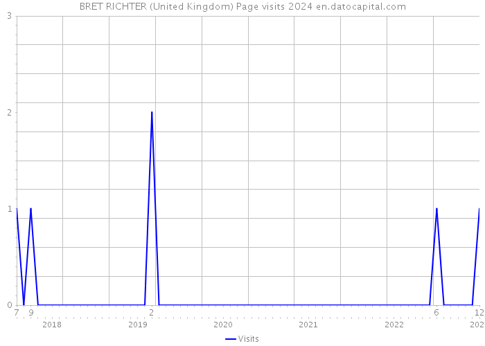 BRET RICHTER (United Kingdom) Page visits 2024 