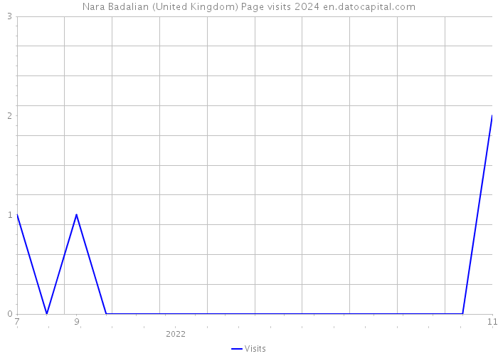 Nara Badalian (United Kingdom) Page visits 2024 