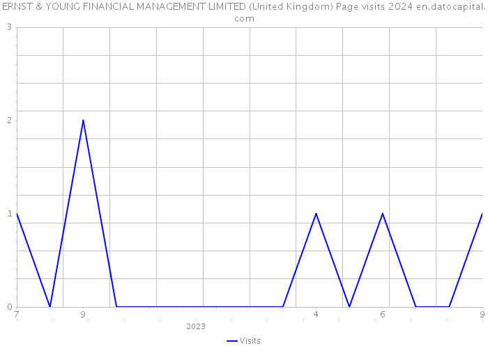 ERNST & YOUNG FINANCIAL MANAGEMENT LIMITED (United Kingdom) Page visits 2024 
