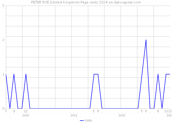 PETER RYE (United Kingdom) Page visits 2024 