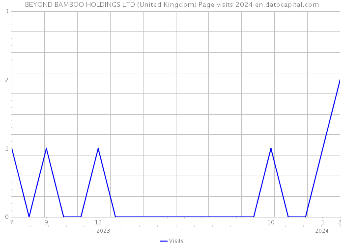 BEYOND BAMBOO HOLDINGS LTD (United Kingdom) Page visits 2024 