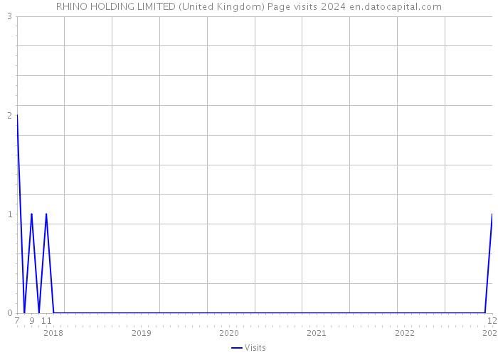 RHINO HOLDING LIMITED (United Kingdom) Page visits 2024 