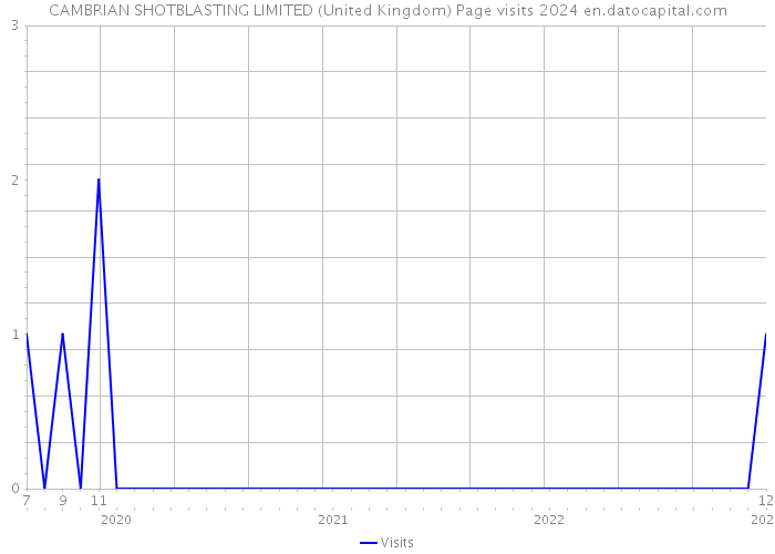 CAMBRIAN SHOTBLASTING LIMITED (United Kingdom) Page visits 2024 