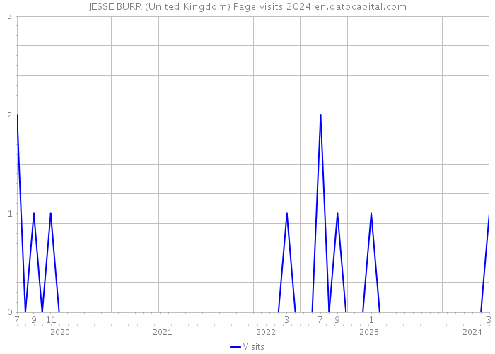 JESSE BURR (United Kingdom) Page visits 2024 