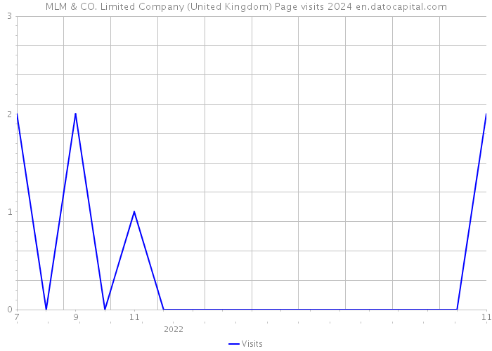 MLM & CO. Limited Company (United Kingdom) Page visits 2024 