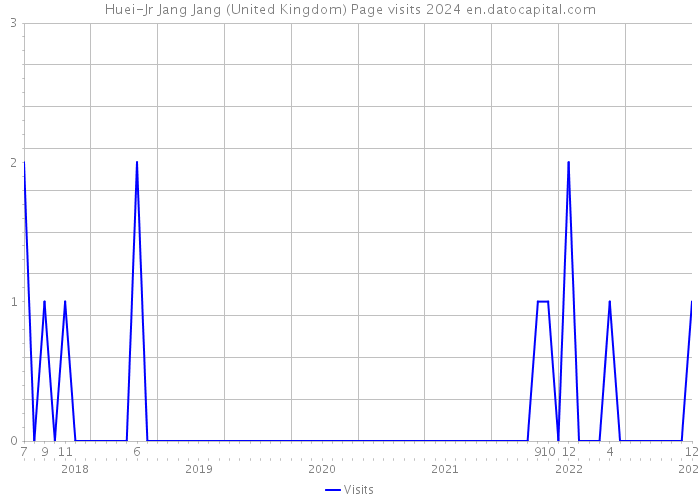 Huei-Jr Jang Jang (United Kingdom) Page visits 2024 