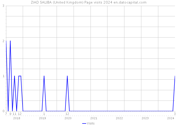 ZIAD SALIBA (United Kingdom) Page visits 2024 