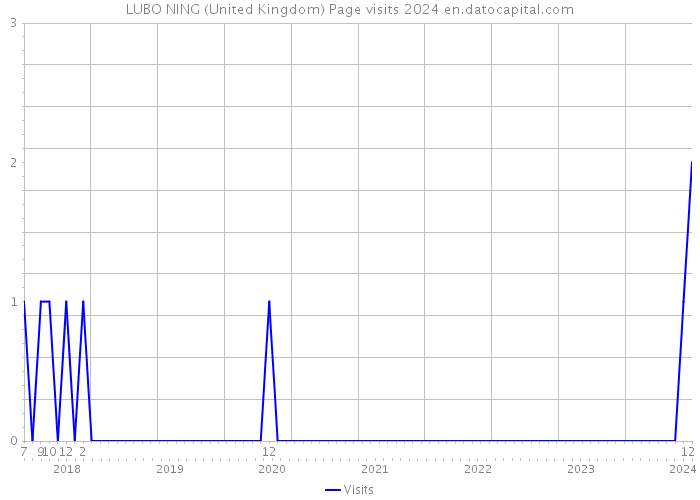 LUBO NING (United Kingdom) Page visits 2024 