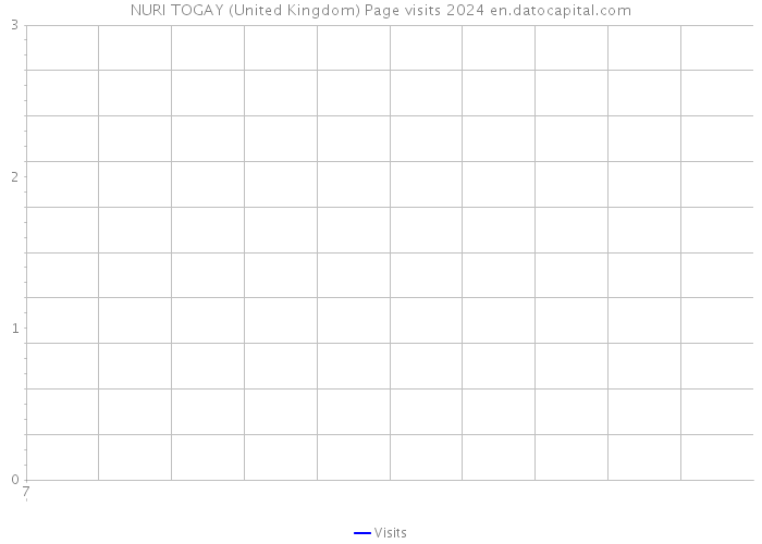 NURI TOGAY (United Kingdom) Page visits 2024 