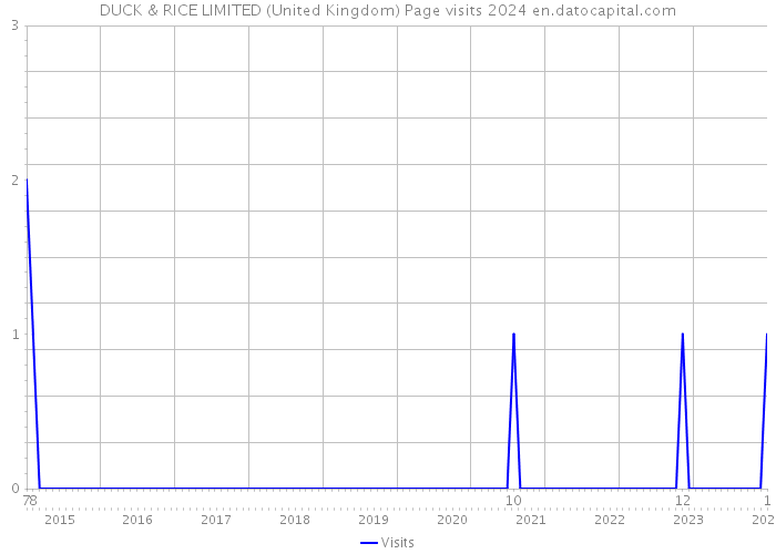 DUCK & RICE LIMITED (United Kingdom) Page visits 2024 
