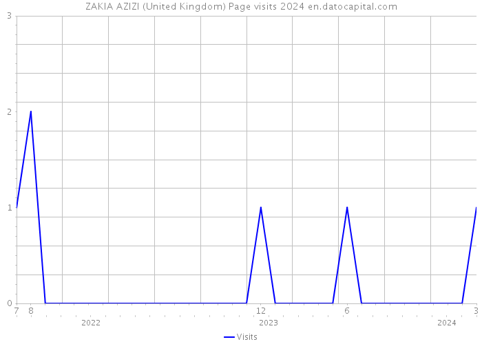 ZAKIA AZIZI (United Kingdom) Page visits 2024 