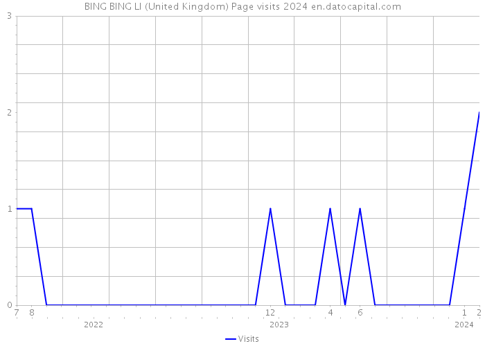 BING BING LI (United Kingdom) Page visits 2024 