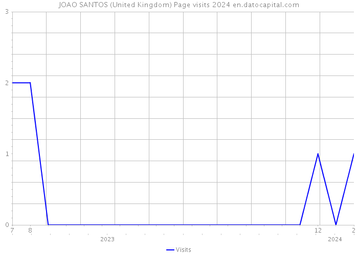JOAO SANTOS (United Kingdom) Page visits 2024 