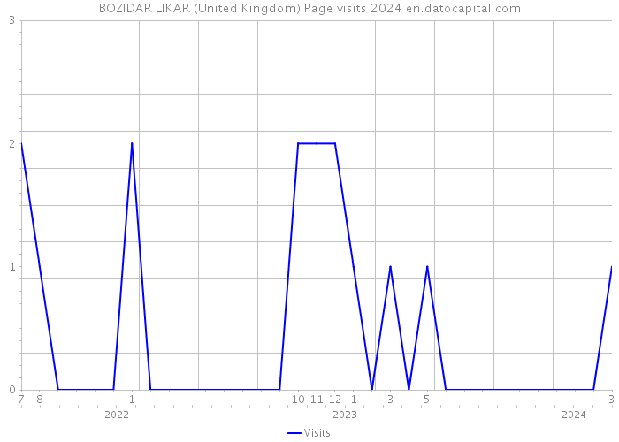 BOZIDAR LIKAR (United Kingdom) Page visits 2024 