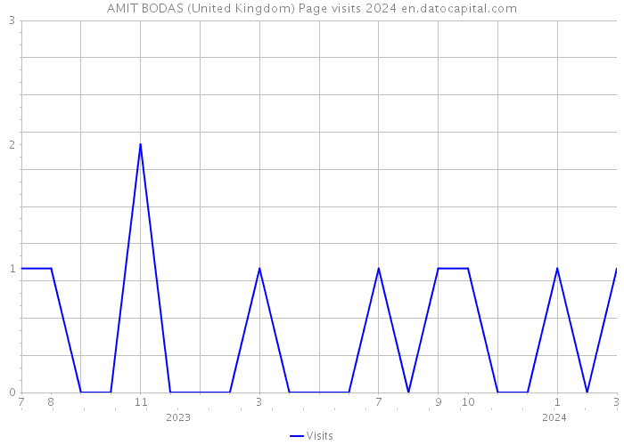 AMIT BODAS (United Kingdom) Page visits 2024 