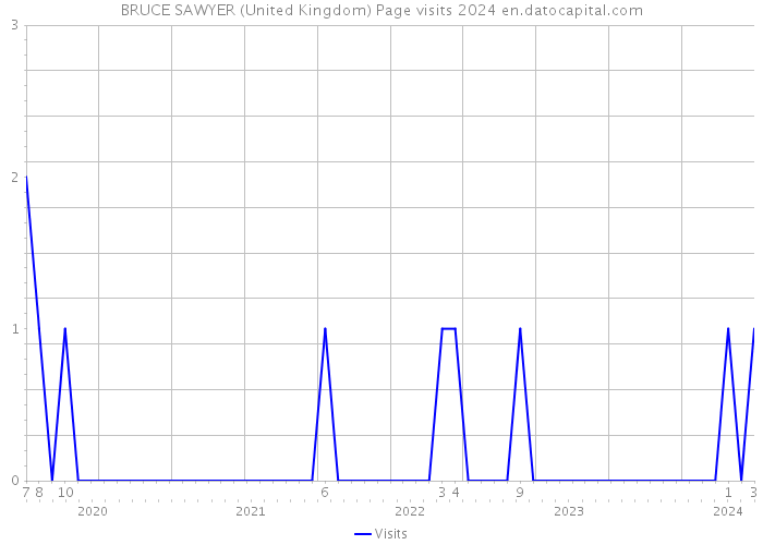 BRUCE SAWYER (United Kingdom) Page visits 2024 