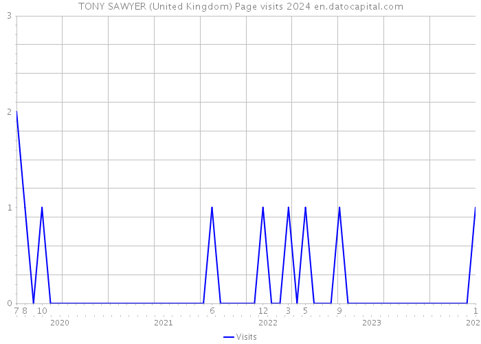 TONY SAWYER (United Kingdom) Page visits 2024 