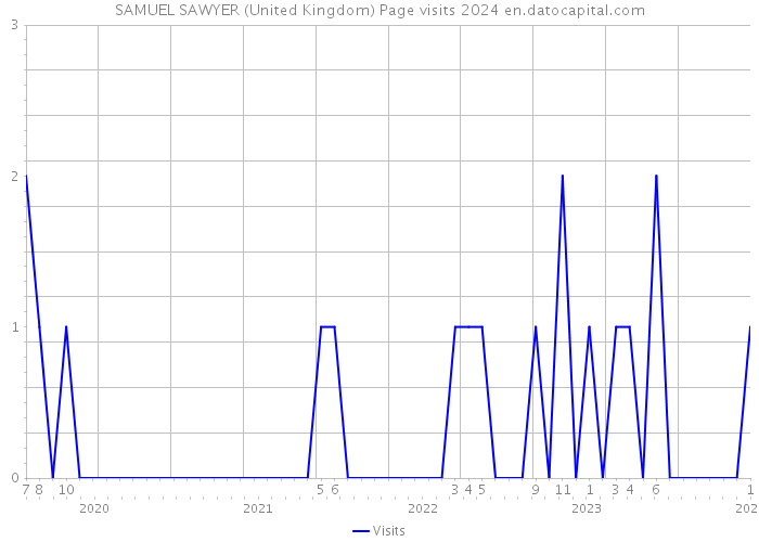 SAMUEL SAWYER (United Kingdom) Page visits 2024 