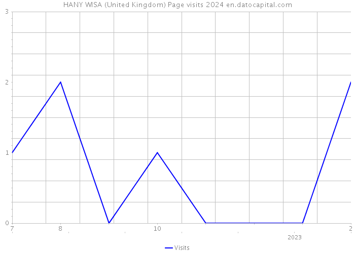 HANY WISA (United Kingdom) Page visits 2024 