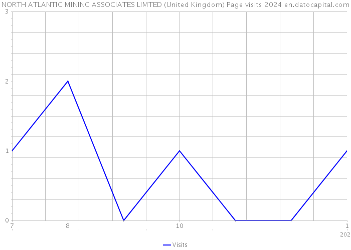 NORTH ATLANTIC MINING ASSOCIATES LIMTED (United Kingdom) Page visits 2024 