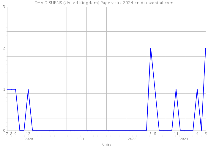DAVID BURNS (United Kingdom) Page visits 2024 