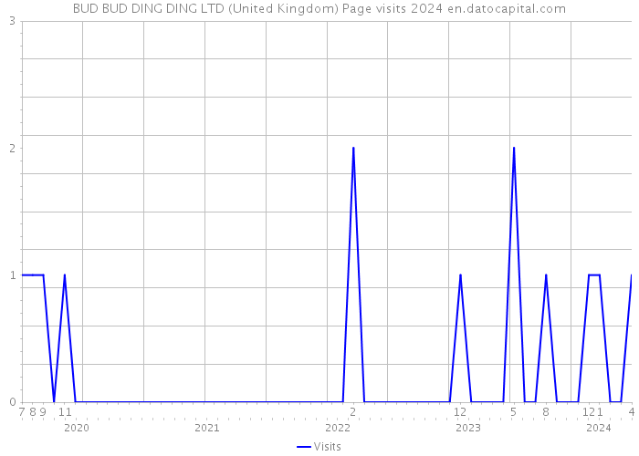 BUD BUD DING DING LTD (United Kingdom) Page visits 2024 