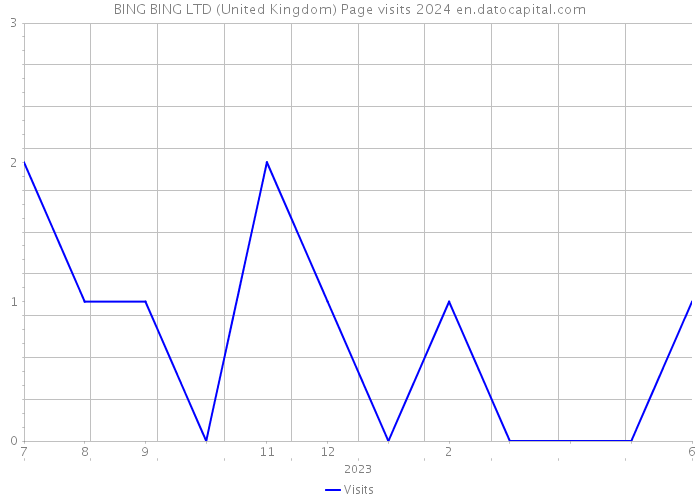 BING BING LTD (United Kingdom) Page visits 2024 