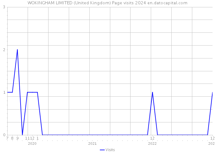 WOKINGHAM LIMITED (United Kingdom) Page visits 2024 