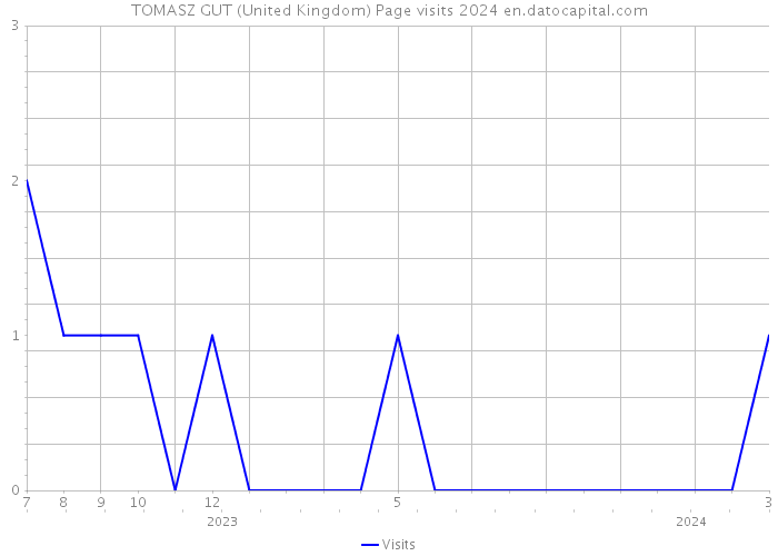 TOMASZ GUT (United Kingdom) Page visits 2024 