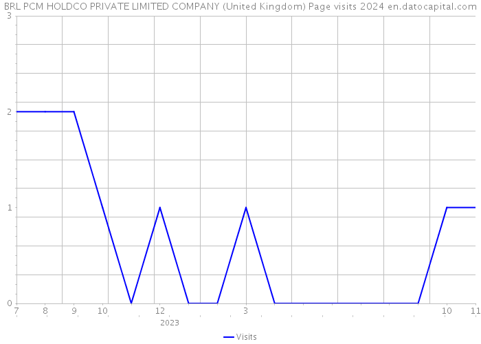 BRL PCM HOLDCO PRIVATE LIMITED COMPANY (United Kingdom) Page visits 2024 