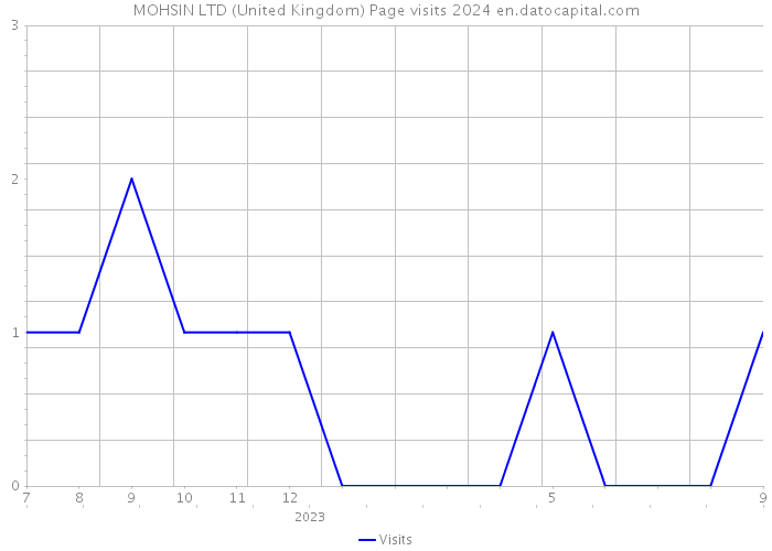 MOHSIN LTD (United Kingdom) Page visits 2024 