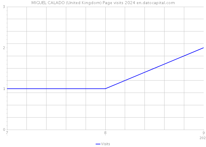 MIGUEL CALADO (United Kingdom) Page visits 2024 