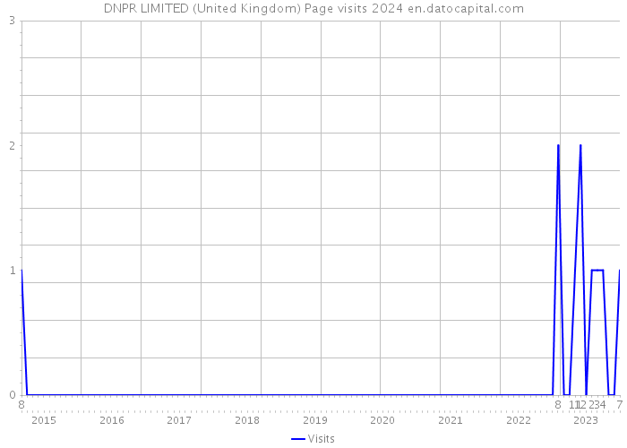 DNPR LIMITED (United Kingdom) Page visits 2024 