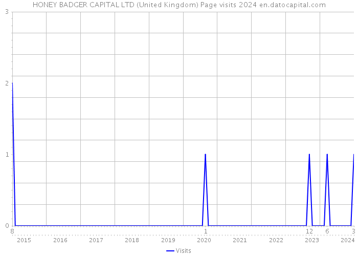HONEY BADGER CAPITAL LTD (United Kingdom) Page visits 2024 