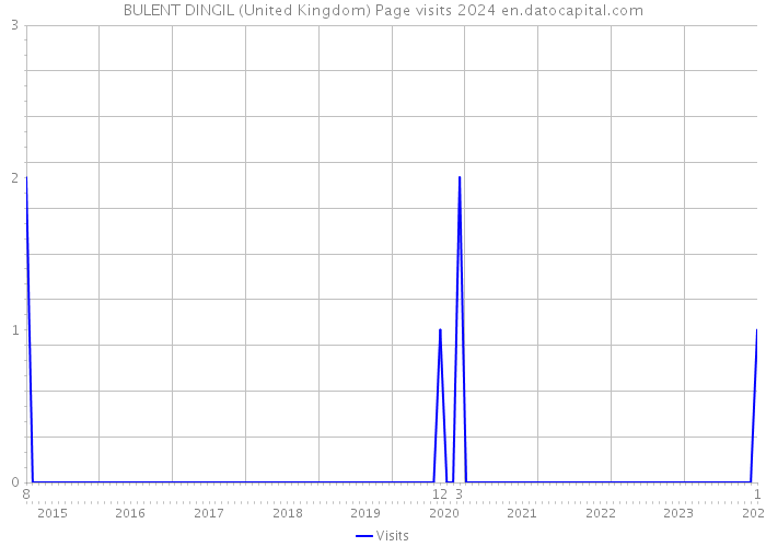 BULENT DINGIL (United Kingdom) Page visits 2024 