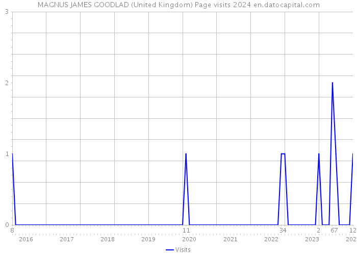 MAGNUS JAMES GOODLAD (United Kingdom) Page visits 2024 