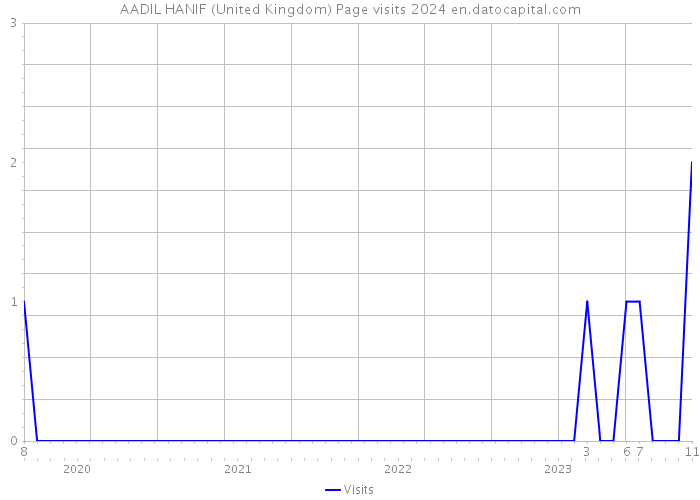 AADIL HANIF (United Kingdom) Page visits 2024 